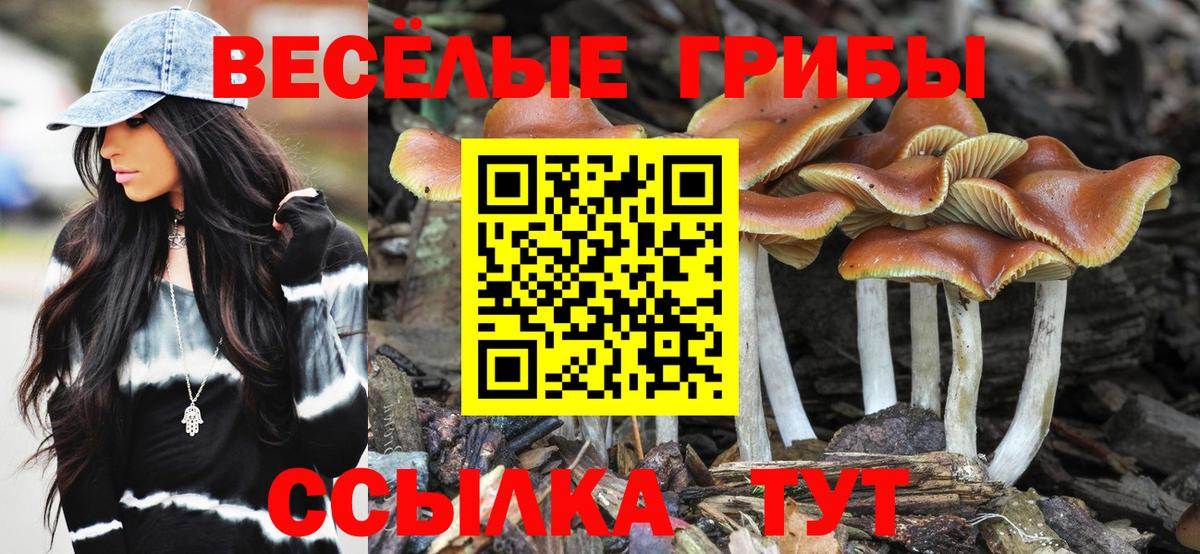 Котовск  Галлюциногенные грибы MAGIC MUSHROOMS  Вход с VPN 